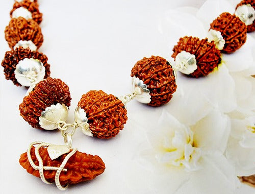 rudraksha