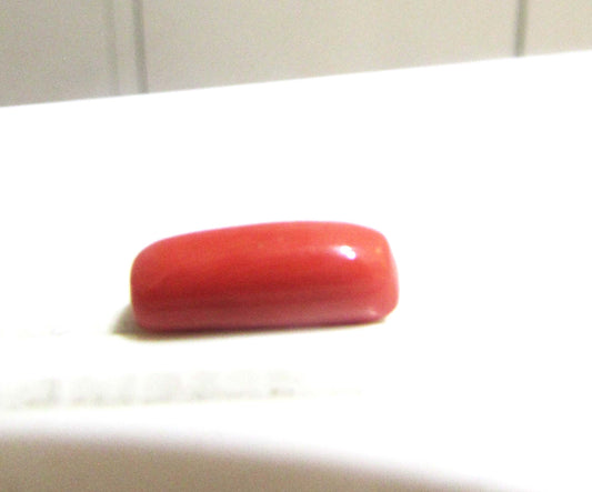 Red Coral(Capsules)