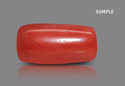 Red Coral(Capsules)