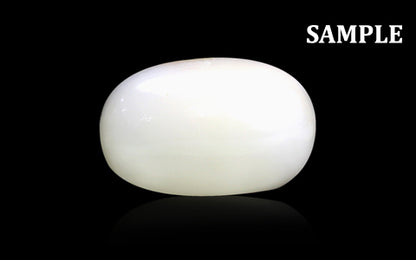White Coral