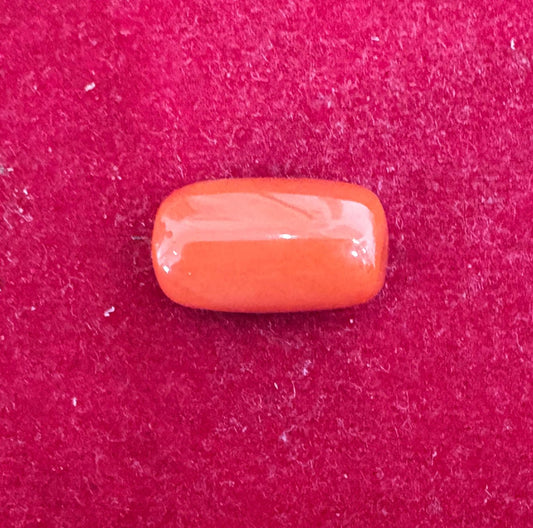 Red Coral(Tringal & Oval)