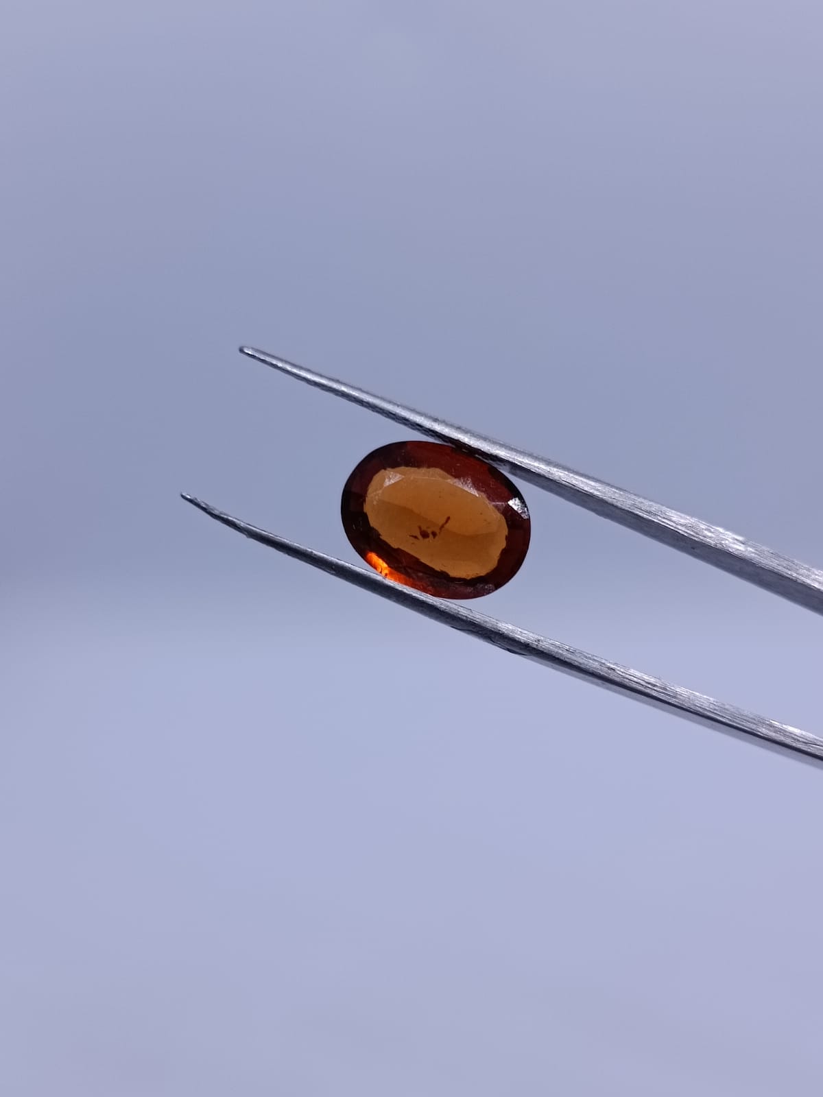 Gomed 5.56 test