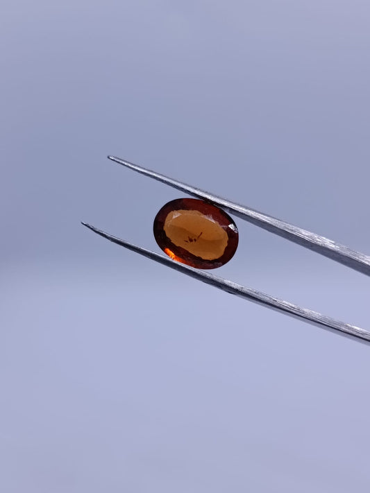 Gomed 5.56 test